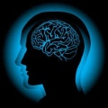 Mind Bender