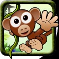 Jungle Climb