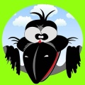 Cheeky Crow