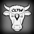 Cows Bulls