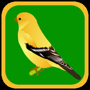 Quiz Bird Free加速器