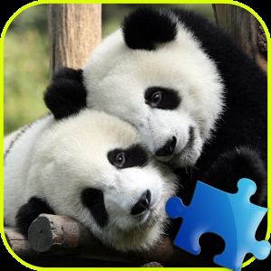 Panda Jigsaw Puzzle加速器