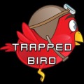 Trapped Bird