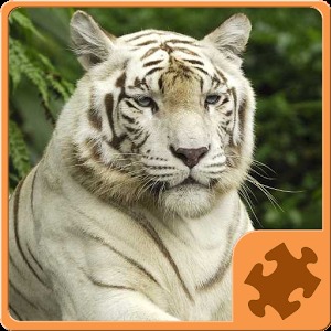 Animals Puzzle - Jungle加速器