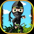 Angry Ninja Adventure