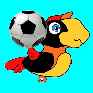 Gago Bird Soccer 2014加速器