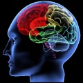 Master Mind