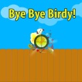 Bye Bye Birdy!