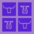 Bulls and Cows Puzzle