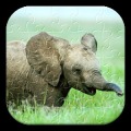 Puzzle Animal