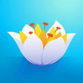 漂浮:花之旅