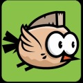 Happy flying bird