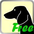 Cindy Free