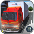 Transporter Truck Cargo Driver