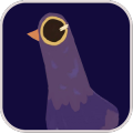 Trash Dove