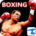 Boxing Night 3D