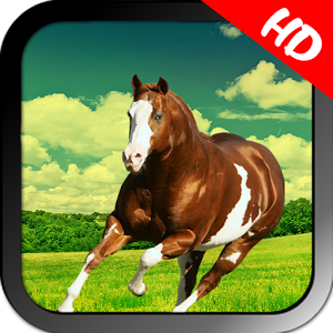 Horse Simulator 2017加速器