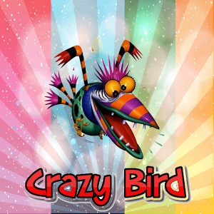 Crazy Bird Pro加速器