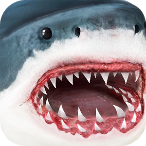 究极鲨鱼模拟加速器