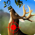 Jungle Deer Hunting 2016加速器