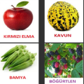 3 yaş eğitici oyun meyve sebze