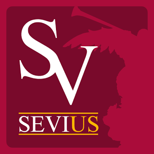 Sevius加速器