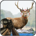 Deer Adventure Hunting