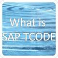 What is SAP TCODE加速器