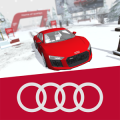 Audi Struckd