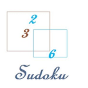 Pws Sudoku Project加速器