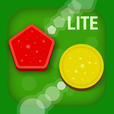 Smart Baby Shapes Lite