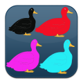Duck Fly