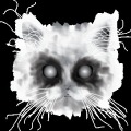 Easter Cat Laser Blast!加速器