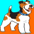 Hunde Spiele Kinder Kostenlos