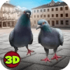 城市之鸟:鸽子模拟器加速器