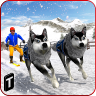 Sled Dog Racing 2017加速器