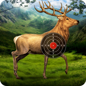 Deer Target Shooting加速器