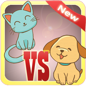 CatDog加速器