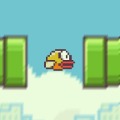 Flavi Bird