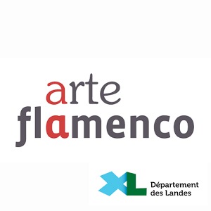 Festival Arte Flamenco加速器