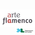 Festival Arte Flamenco