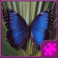 Butterfly Puzzle加速器