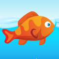 Tap tap jump fish dush