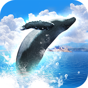 RealWhales加速器