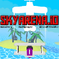 Skyarenaio加速器