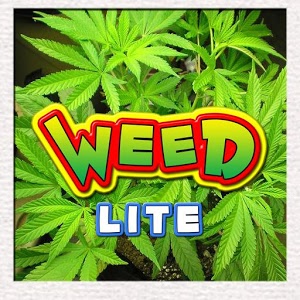 Weed Differences Lite加速器