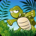 Turtle Trails