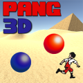 Pang 3D