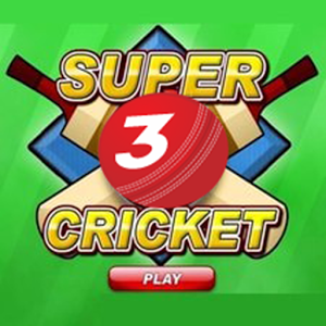 New Super Cricket 3加速器