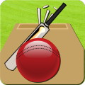 Cricket Record 2011
